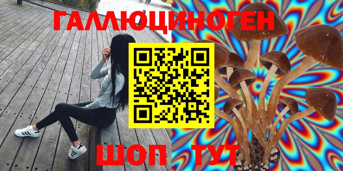 Шадринск  Галлюциногенные грибы мицелий  закладка  Вход с VPN 